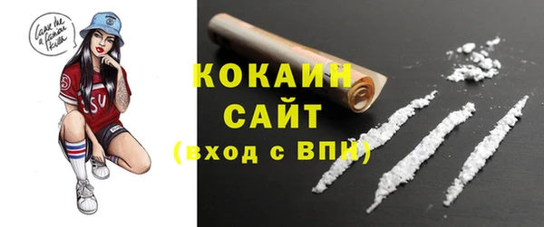 бошки Богородицк